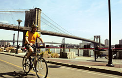 Waterfornt & Brooklyn Bridge Tour